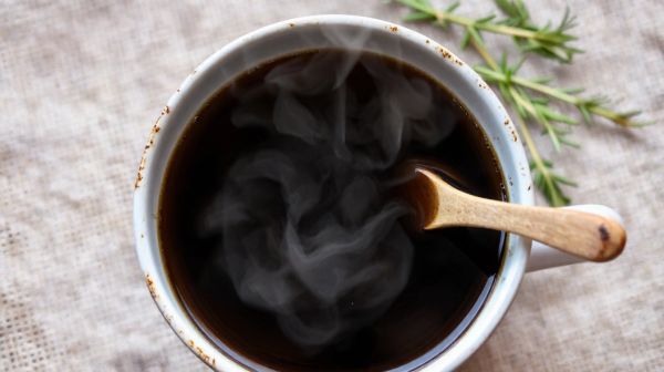 Comment le chaga booste vos defenses immunitaires naturellement